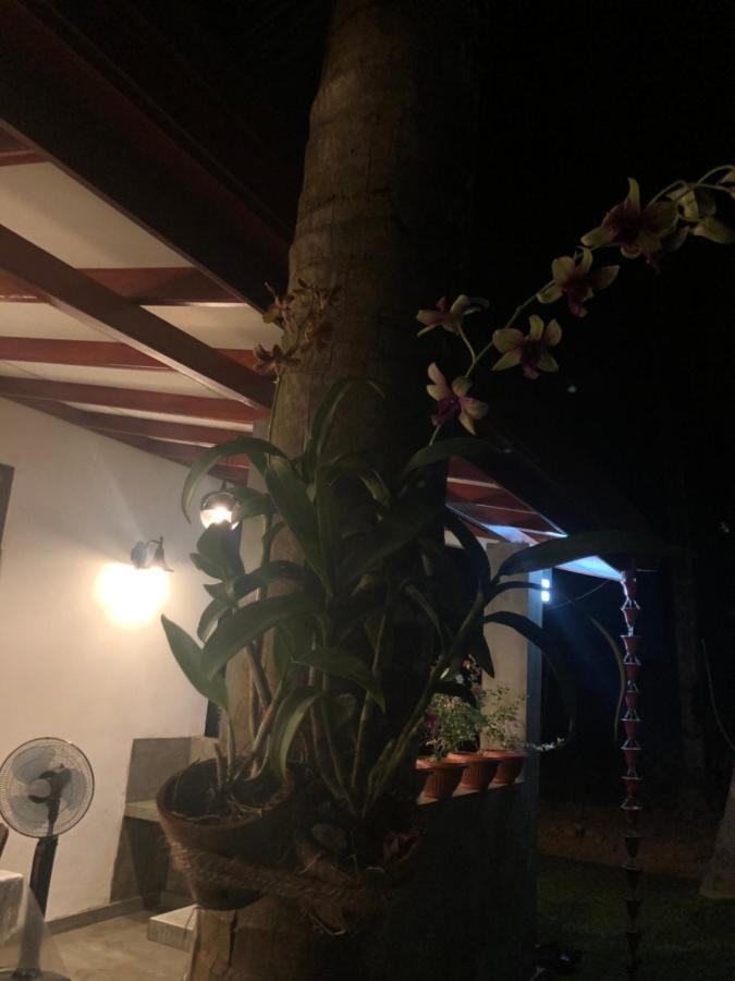 Lohas Villa Hiriketiya Dikwella Exterior foto