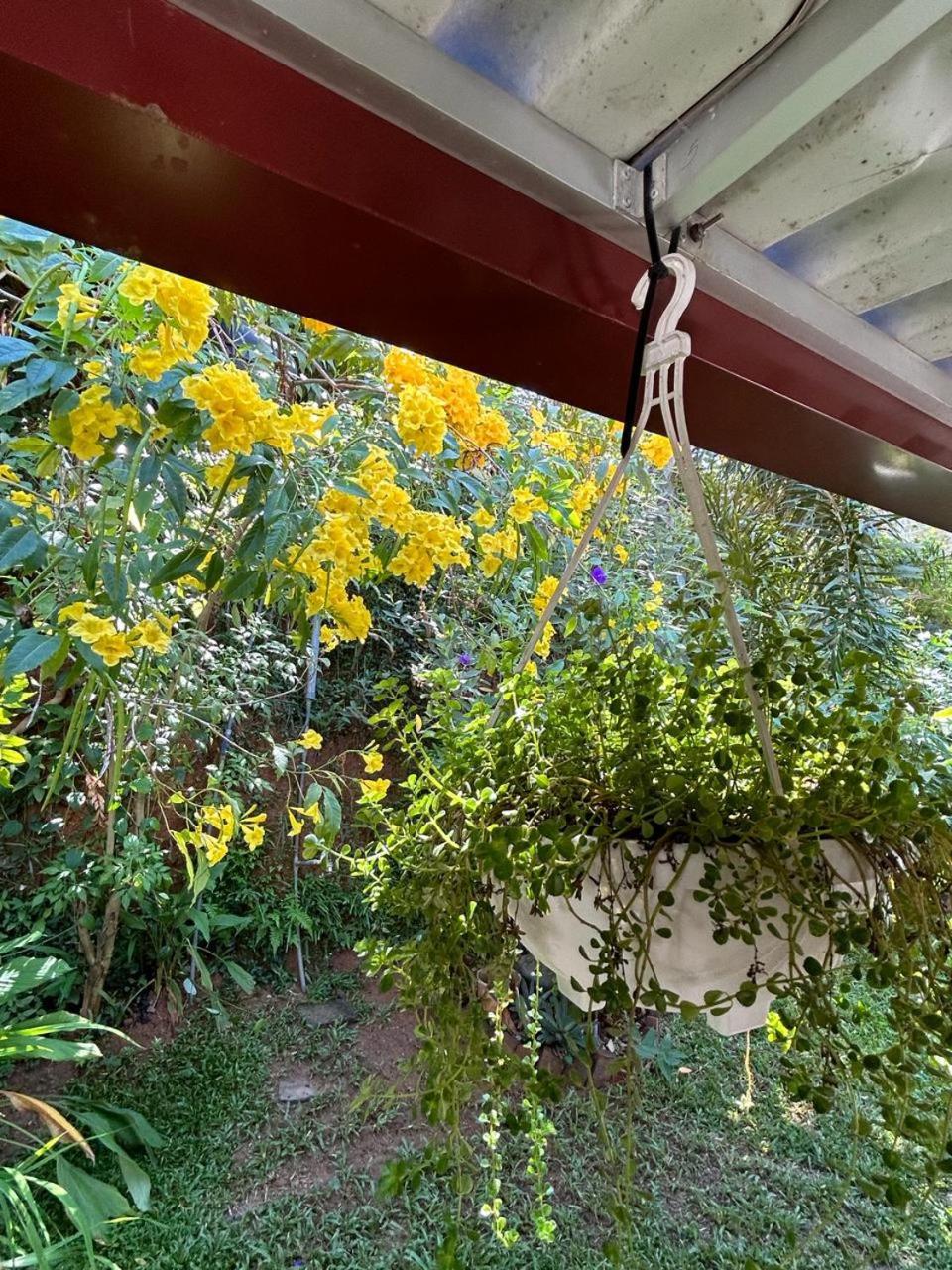 Lohas Villa Hiriketiya Dikwella Exterior foto