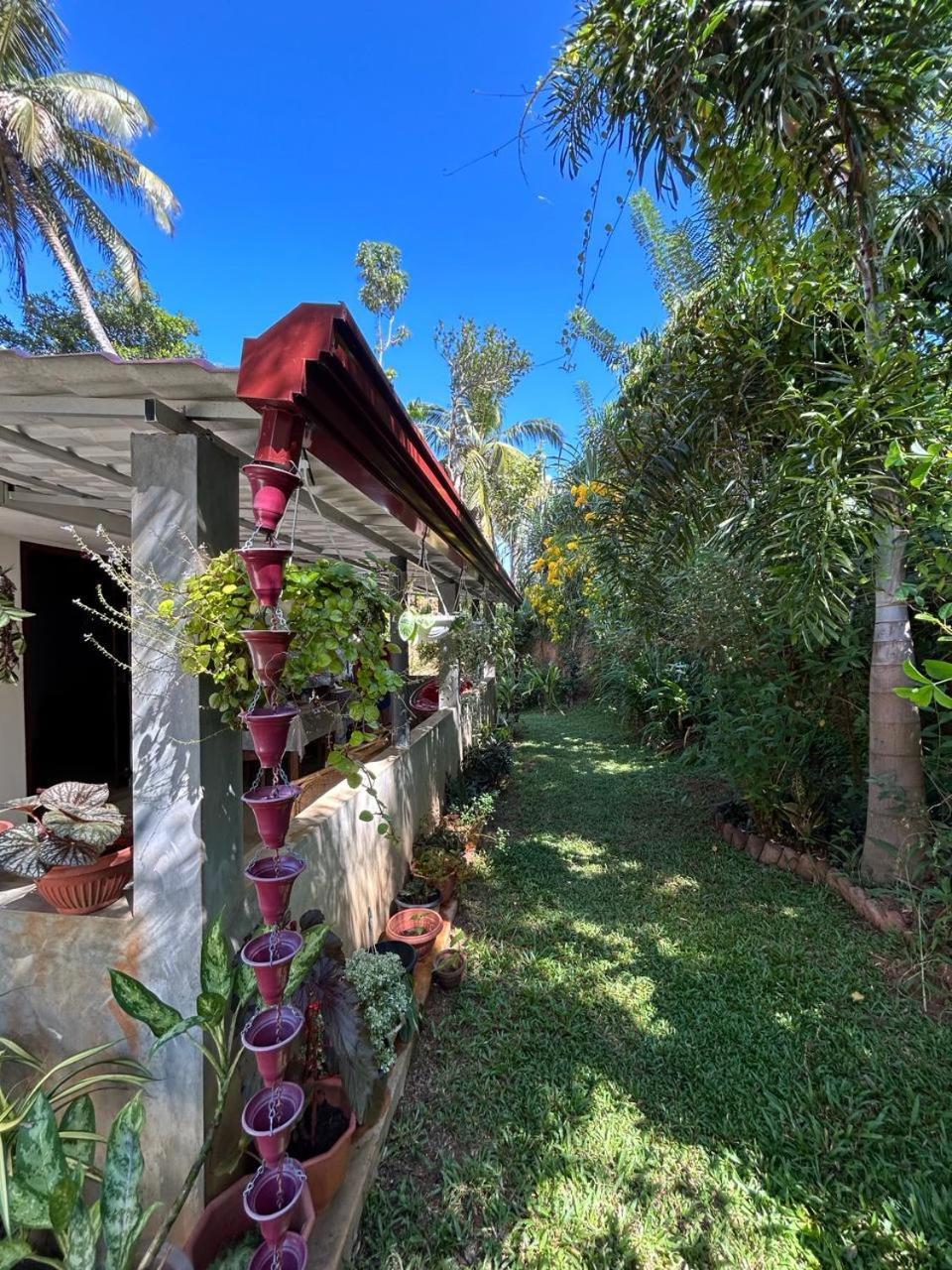Lohas Villa Hiriketiya Dikwella Exterior foto